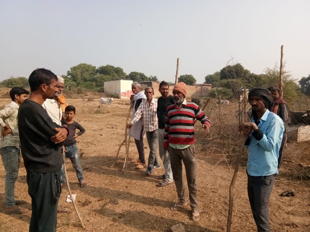 village,SDM,cow,crops,CM
