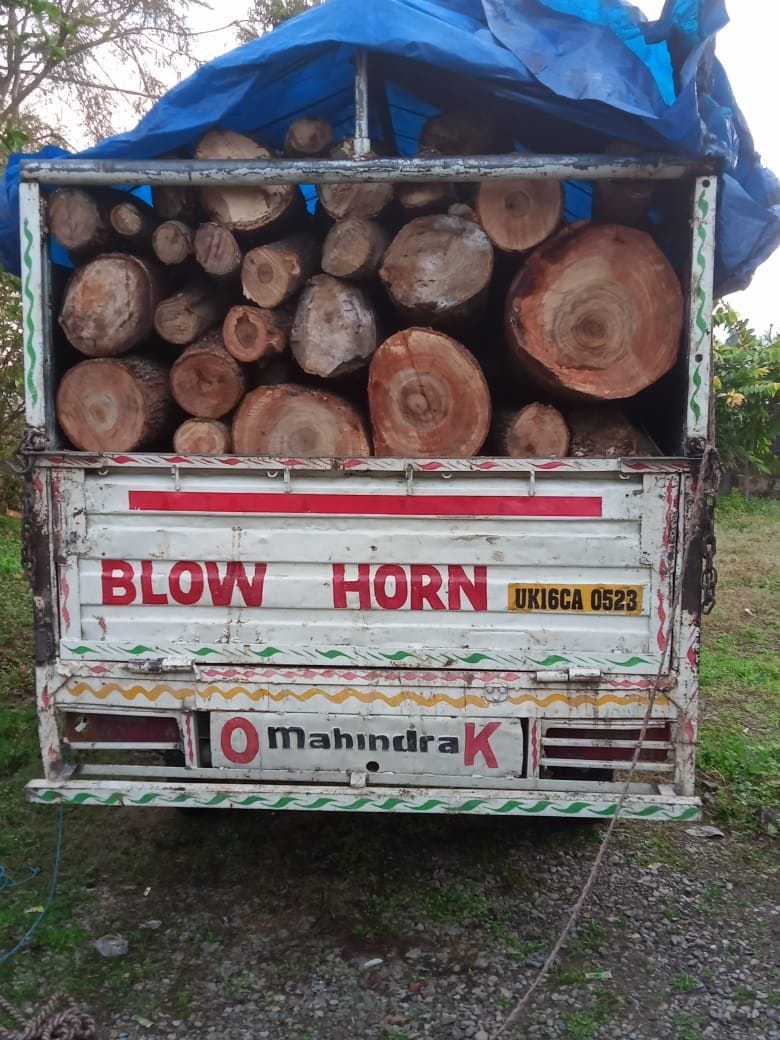 Mango and camphor wood laden vehicle caught, driver arrested