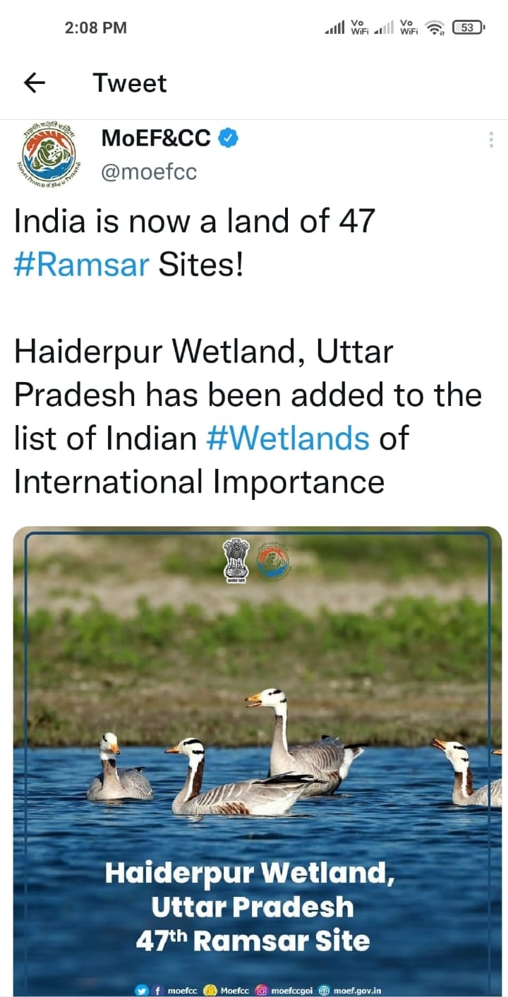 Haiderpur Wetland is a confluence of wildlife, water and land