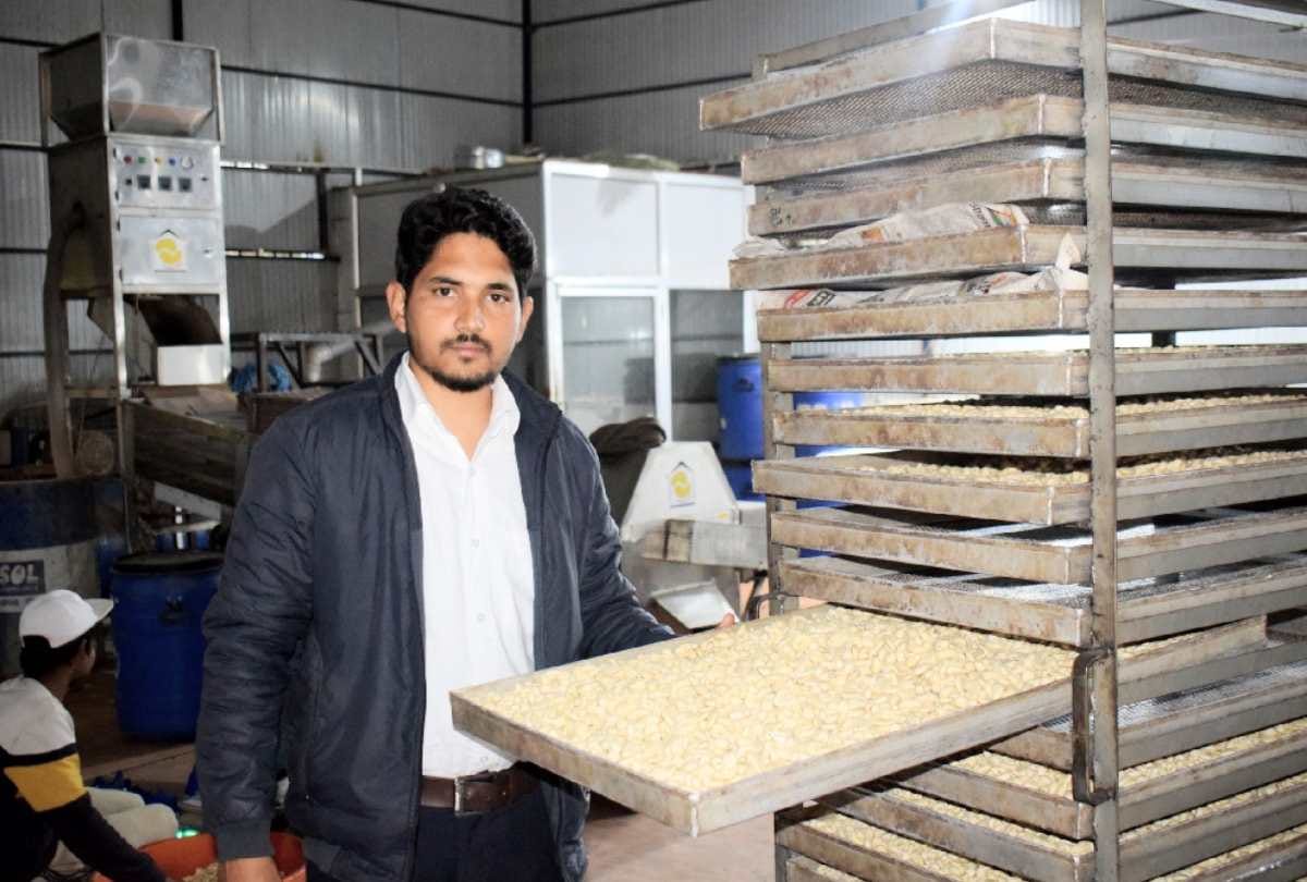 Civil engineer set up cashew business, earning one lakh every month in mandi himachal