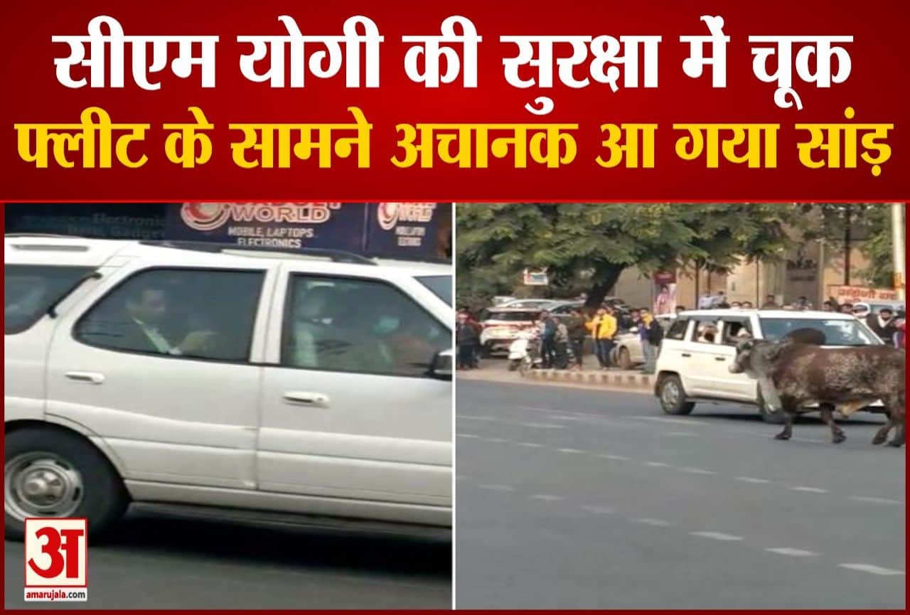 सीएम योगी की फ्लीट के सामने आया सांड़