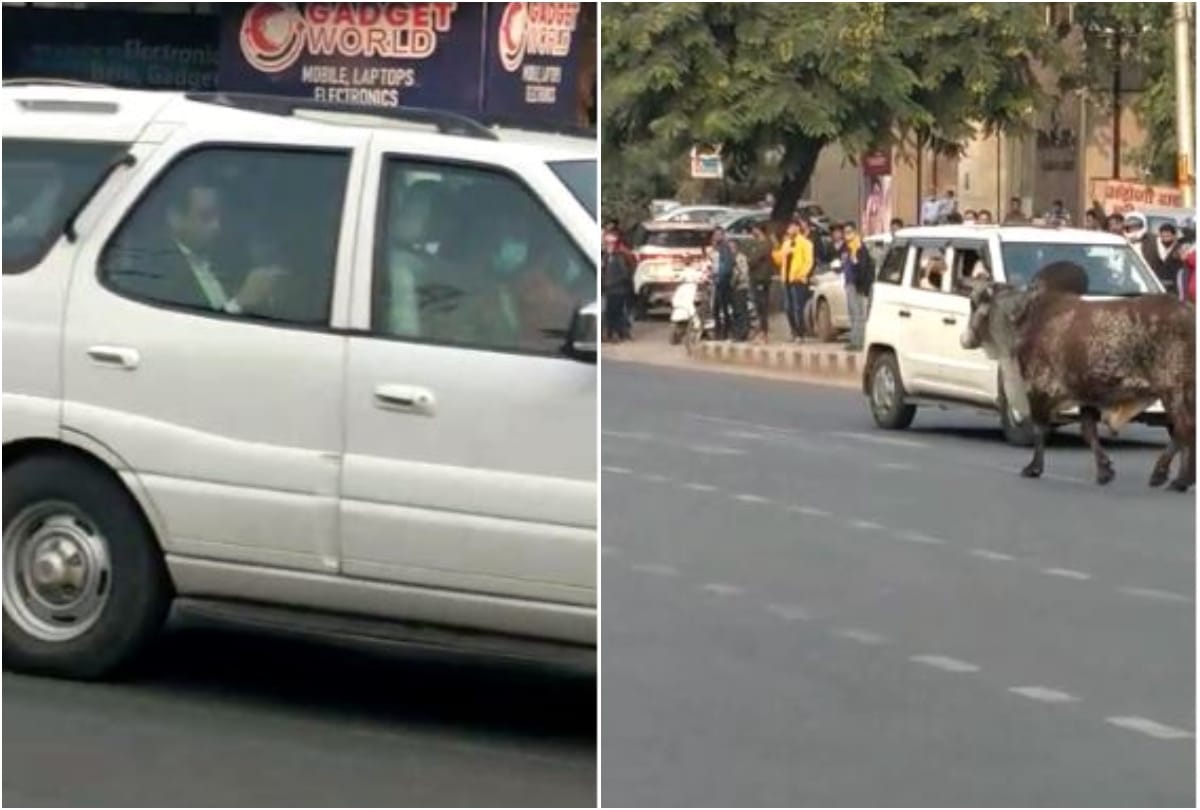 Suddenly a bull came in front of Chief Minister Yogi Adityanath fleet in Agra