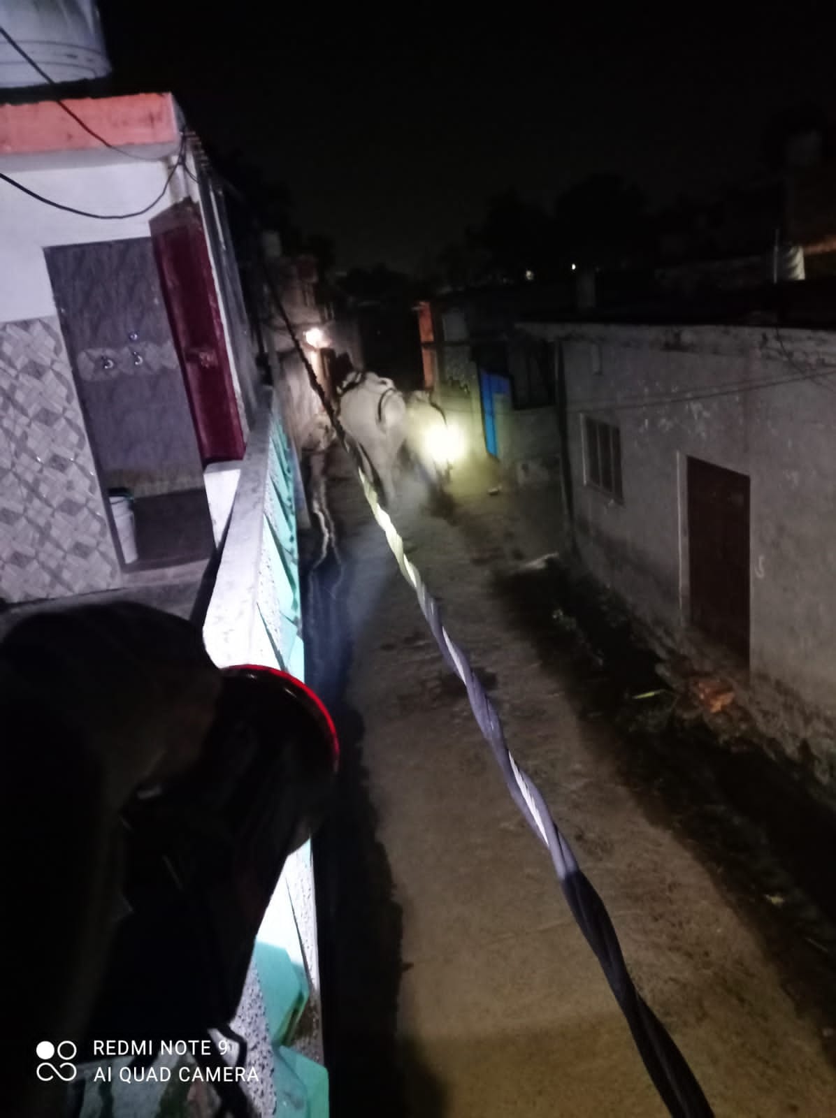 haridwar news: elephant broken wall of house and police wall, leopard attack on yoth