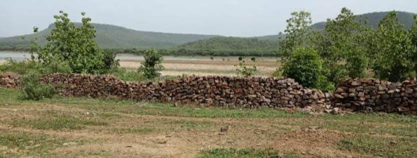 Ken-Betwa Link: Was to be completed in eight years, but got approval in 16 years