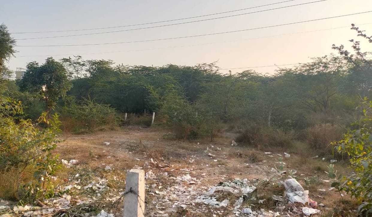 14 crores spent on Dhandur Go Sanctuary, now Nandishala will shift on crores of land on Delhi Bypass