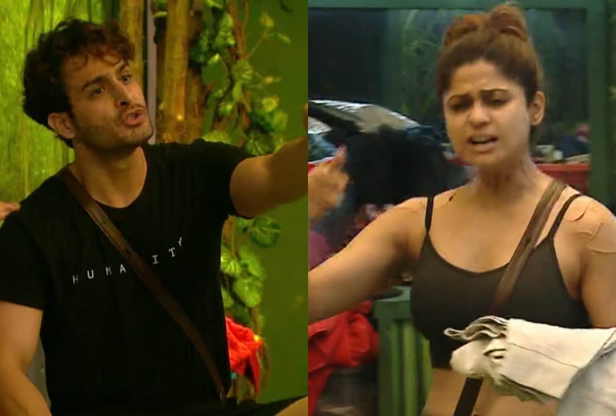 Bigg Boss 15: Umar Riaz and Shamita Shetty fight again fight happened because of Rajiv adatia