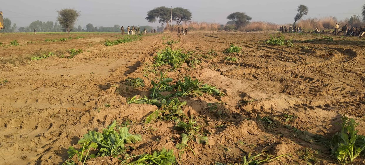 Work on war footing: 50 JCBs, 10 poplands and 500 dumpers engaged in making 3.75 km piece of Green Corridor