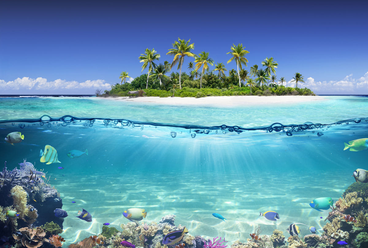 any single corona patient not found on this island till now know about the reason behind it