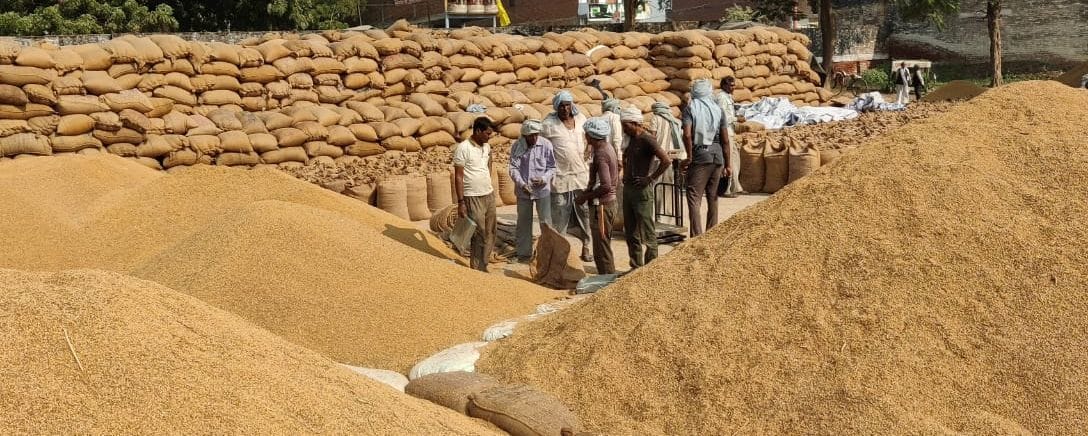 FCI rejected seven trucks of rice, telling water damage