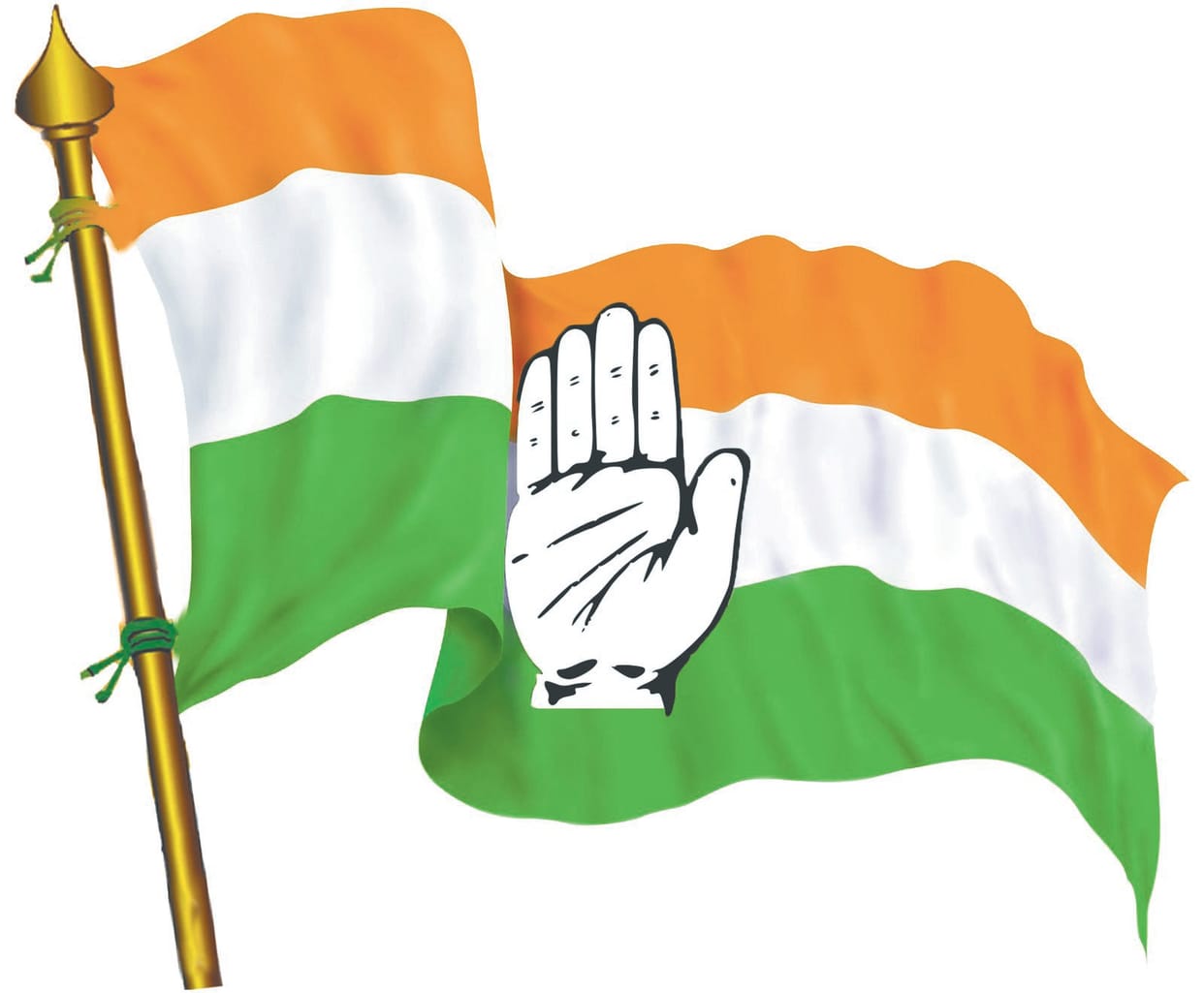 Application For Congress Candidature