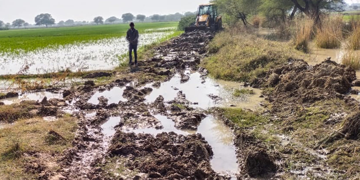 40 bigha crop submerged due to canal track cut