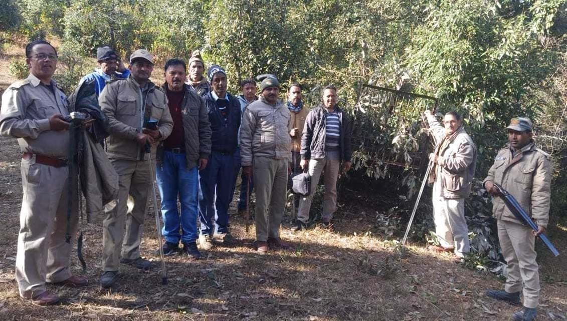 Tiger has been hiding for seven days, people are in panic