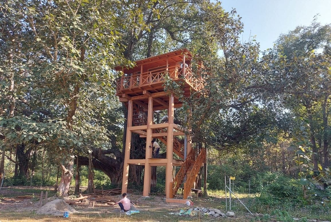 Tree House in Fanto Zone