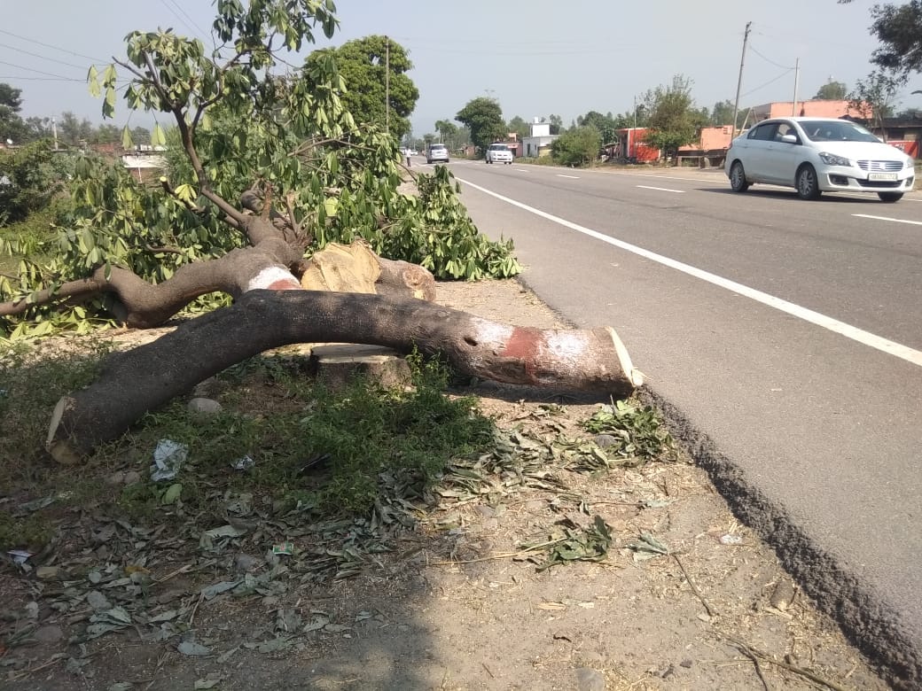 District galloping on the highway of development