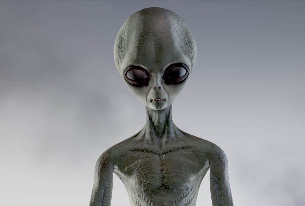 scientists discovered the mystery of the worlds smallest mummified skeleton know what is the truth