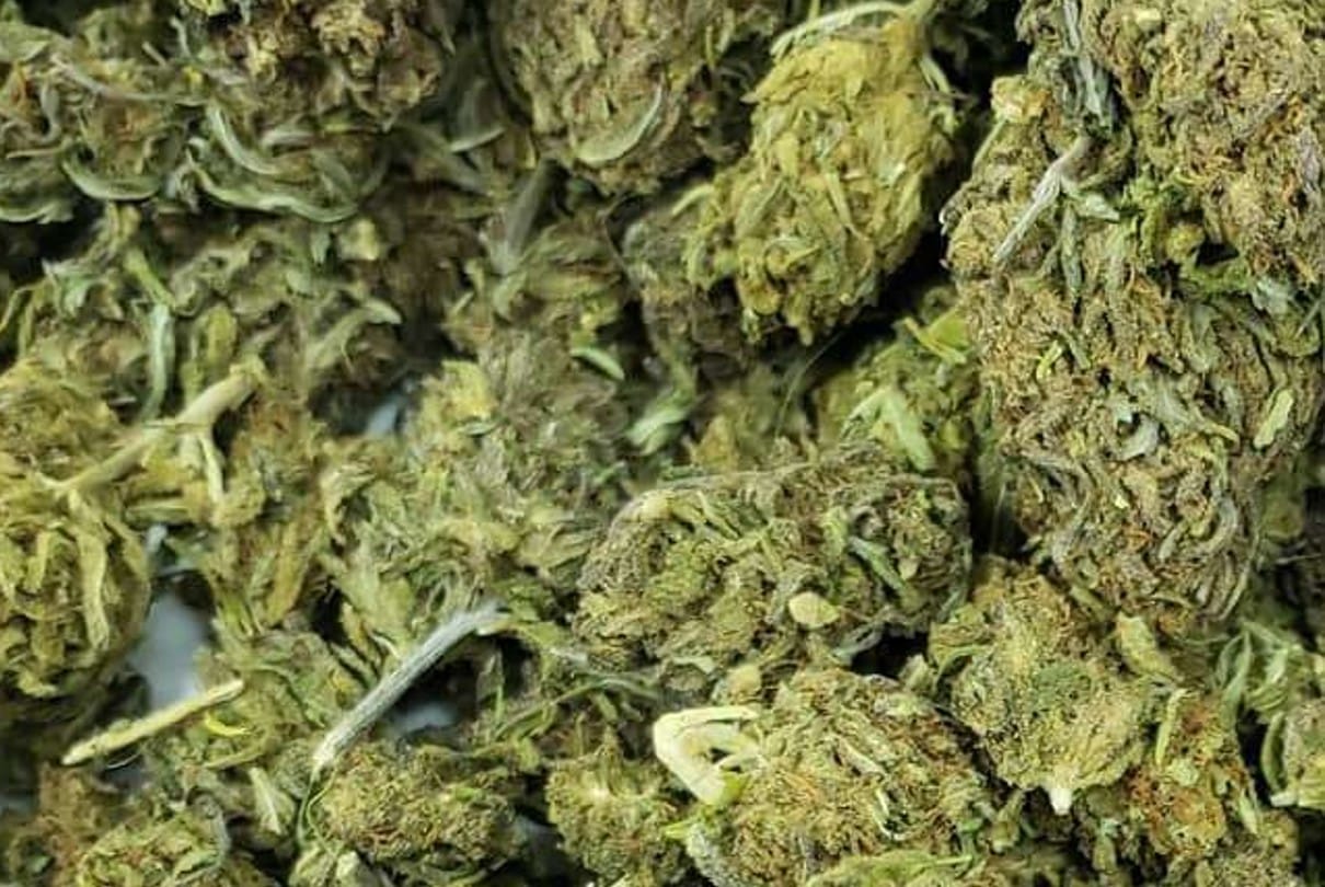 Indore: The girl was going to sell ganja in a bag, police caught.. one and a half kg of ganja confiscated