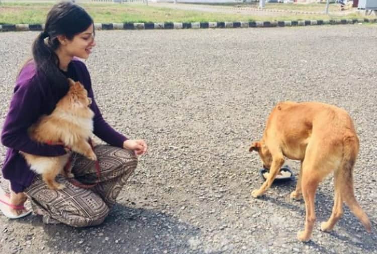 Who is Harnaaz Sandhu, Miss Universe 2021