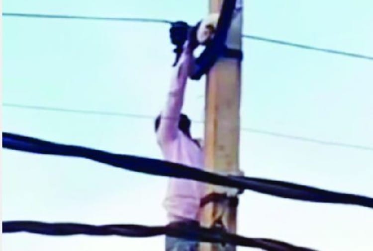 Fire brigade rescued the kitten who climbed the pole in Fatehabad