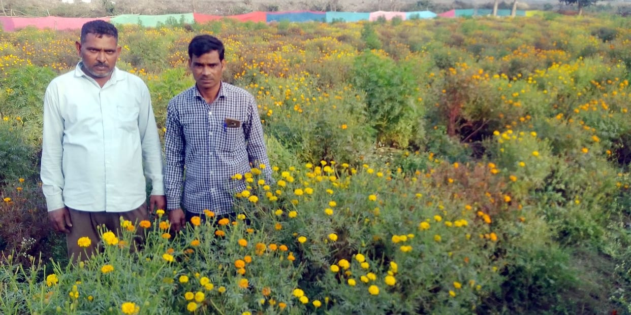 Naeem and sadiq are enjoying life with floriculture