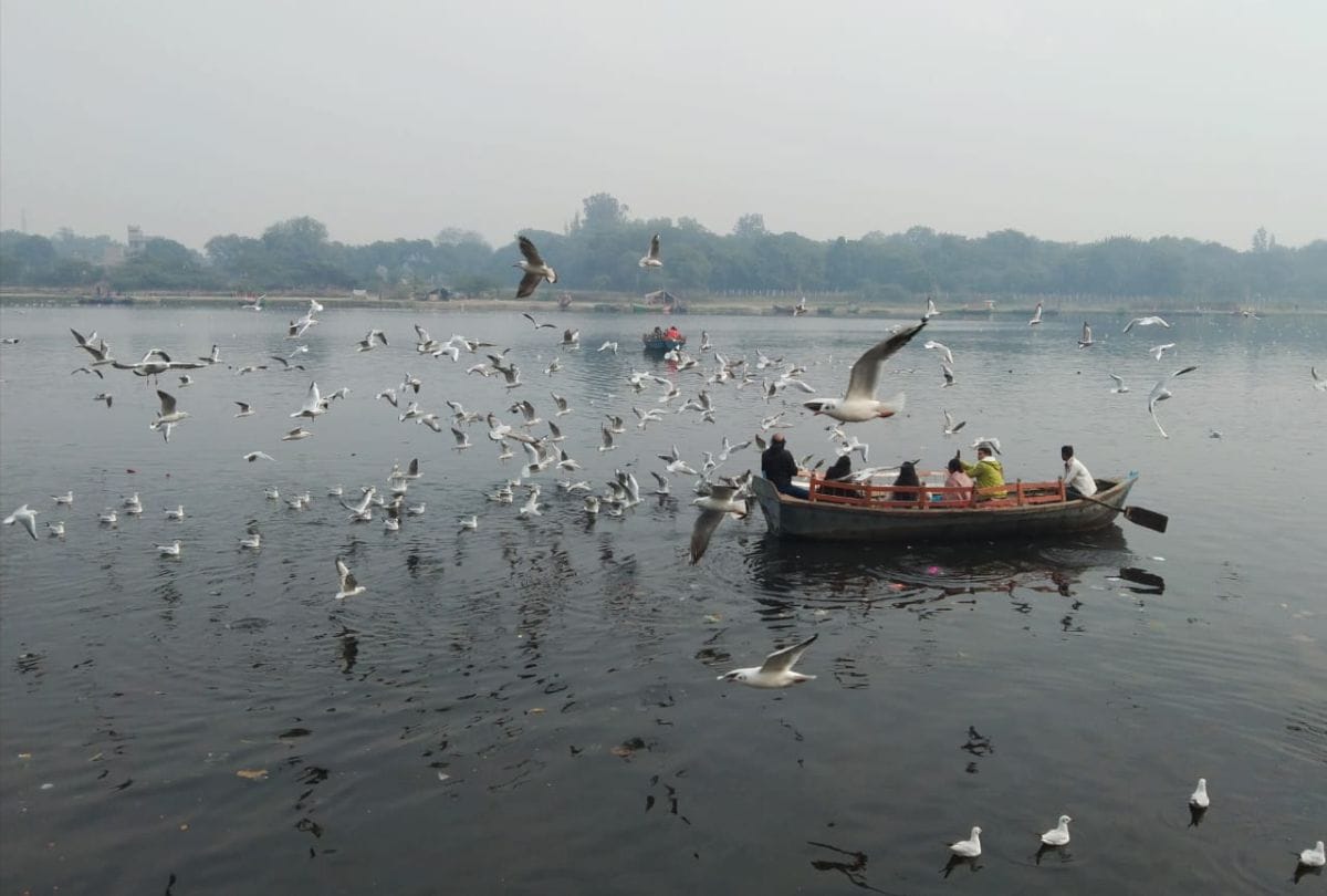 Travel Guide: Know How to Plan Trip to Mathura Vrindavan in 2 Days News in Hindi