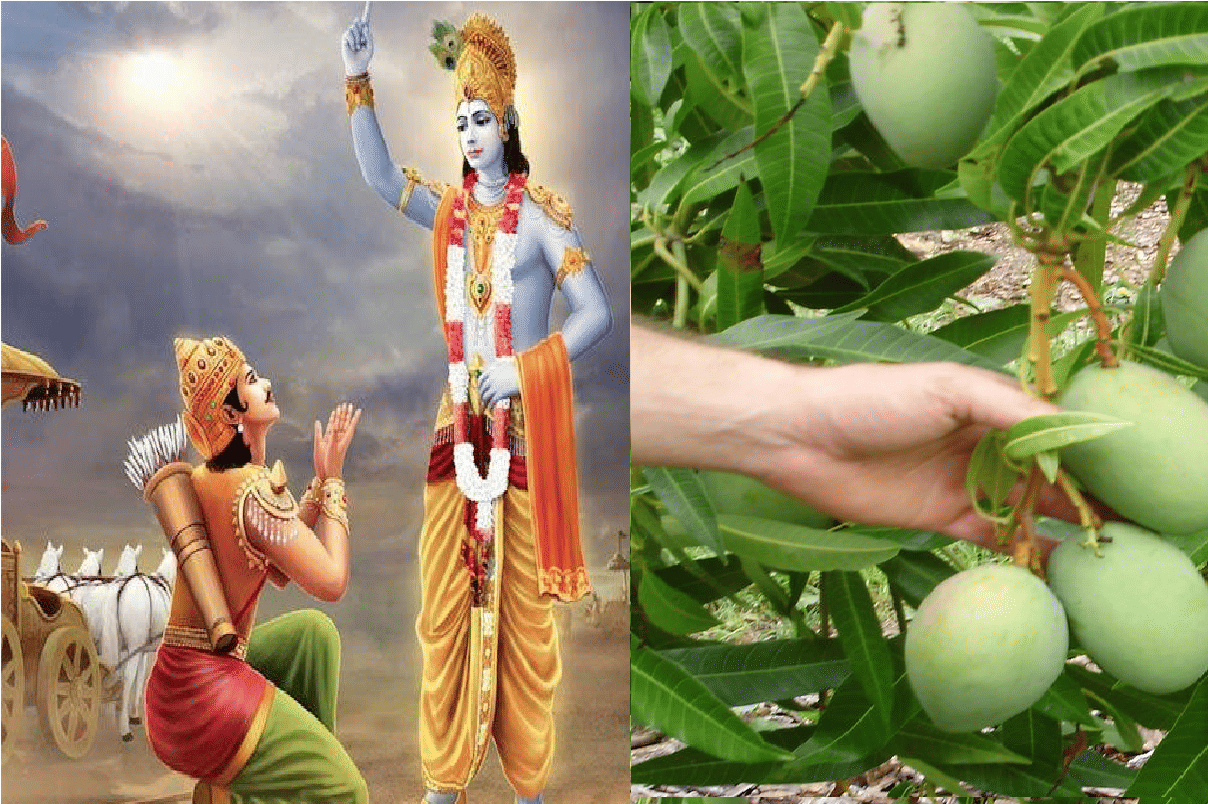 children will study spirituality in Haryana and will learn kitchen gardening in Delhi