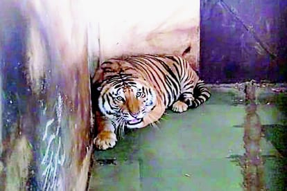 Wildlife rescue, rehabilitation and conservation center ready in Kalagarh