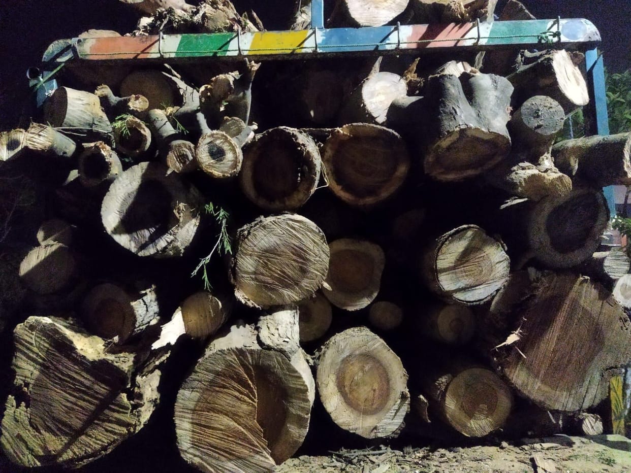 A jeep filled with wood was caught, five including the officer arrested