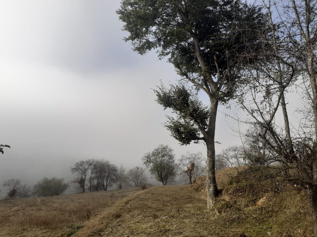 Cold Weather in Kumaun