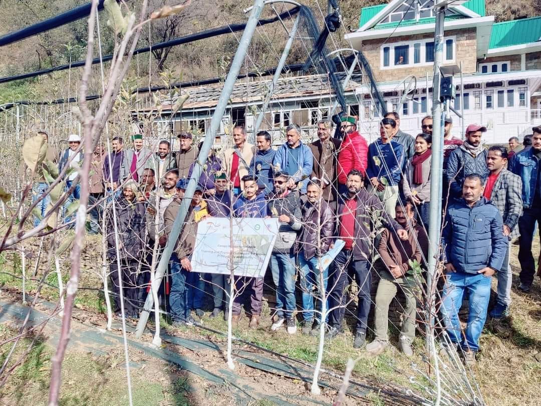 training and prunung camp held in rohru for orachdist