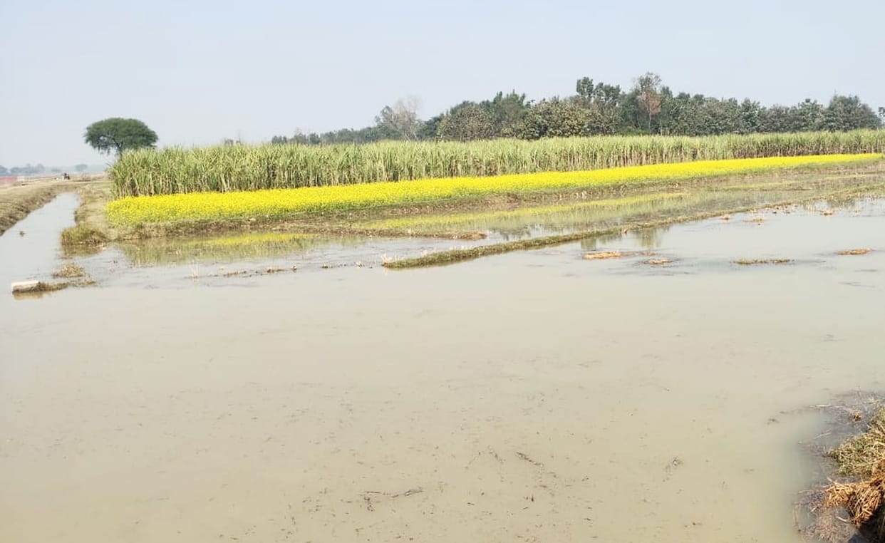 Canal track book, 1200 bigha crop submerged