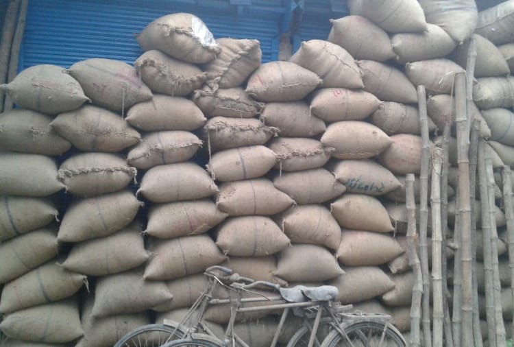 Punjab Assembly Election 2022 News: Closing of 400 Rice Mills will Became Issue in Punjab Assembly Elections 2022