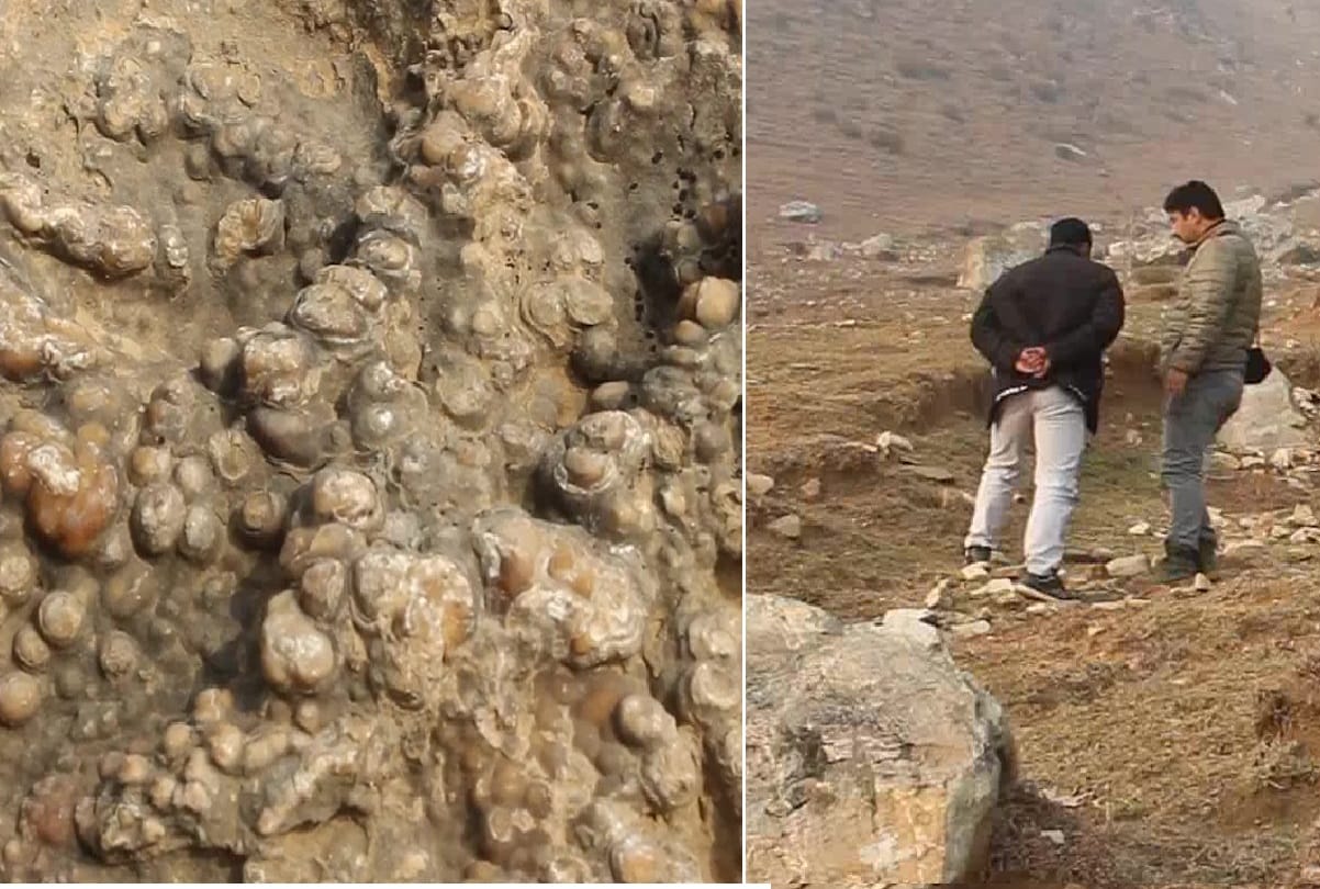 fossil site discovered in Aharbal area of Kulgam Kashmir