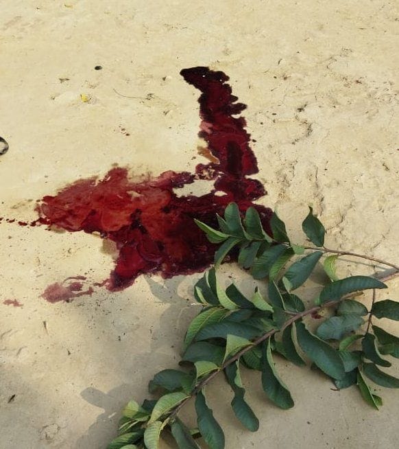 Tau cut his nephew with an ax outside the house