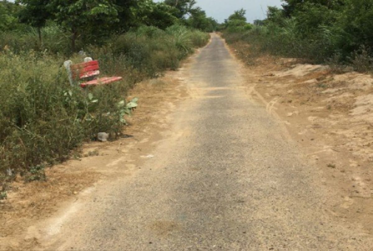 Gautam Budh Nagar to Bulandshahr Canal Road Construction News