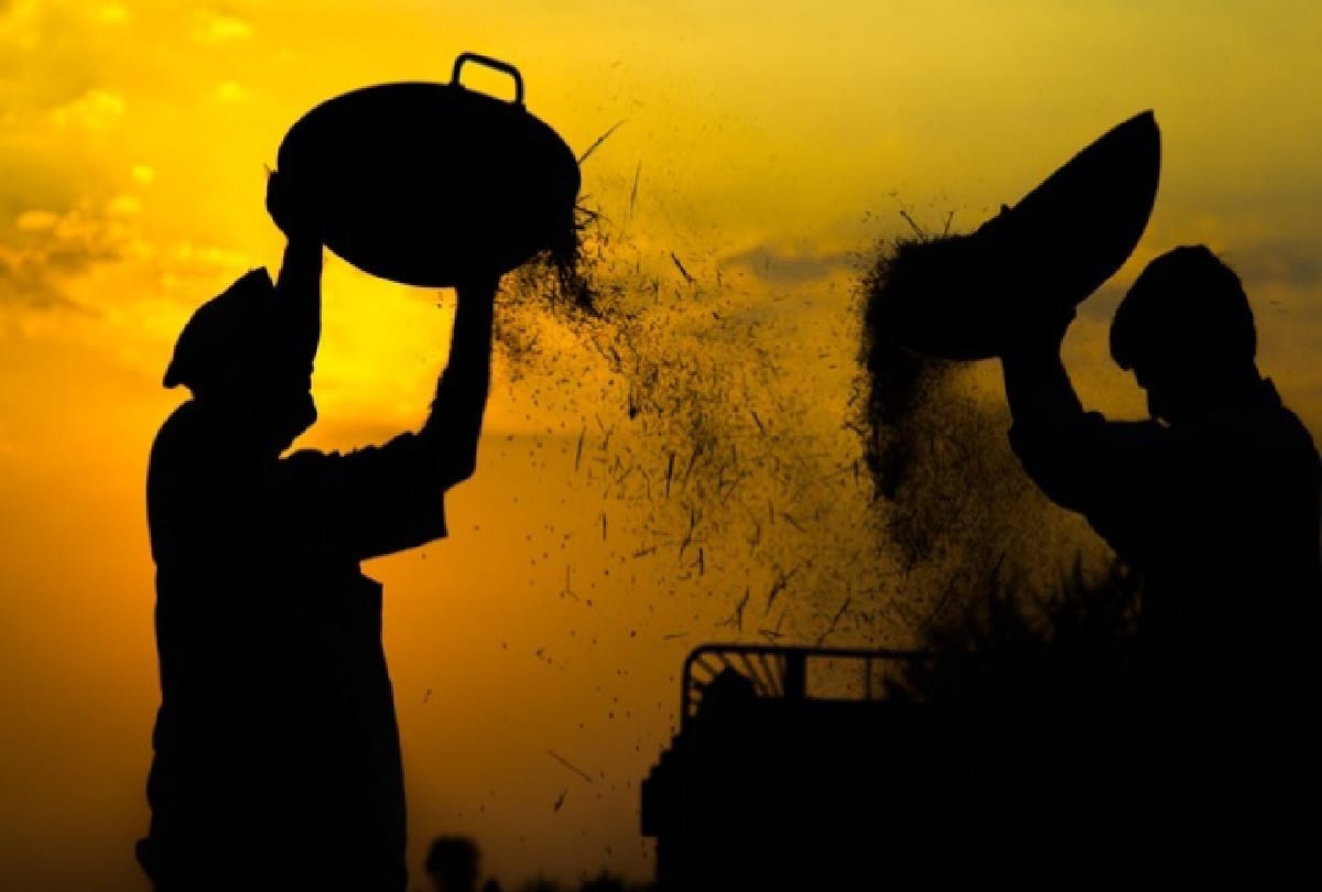 Budget 2022 Will farmer get benefit with this budget know what big announcements have the government made