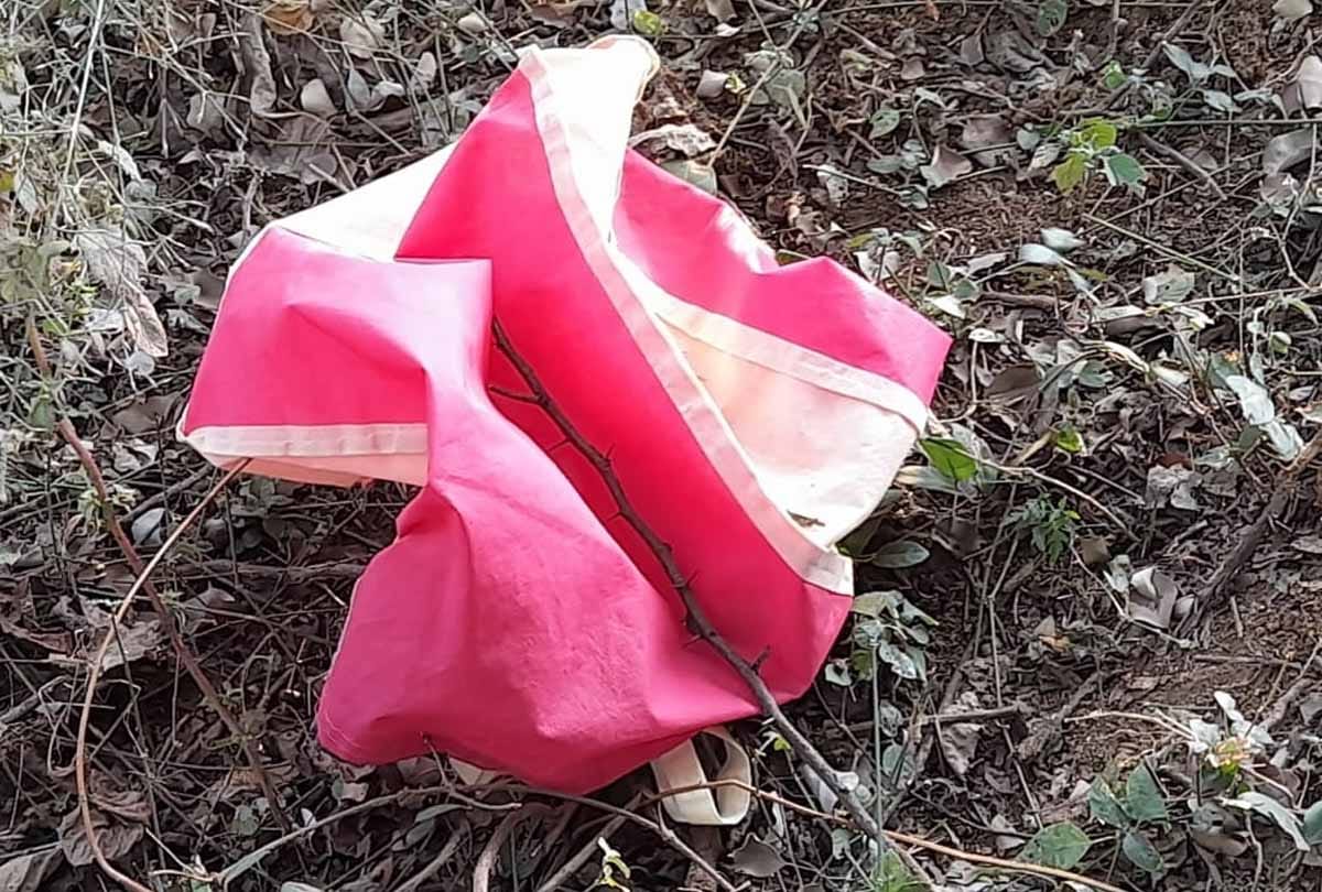In the bitter cold, the mother threw the piece of liver in the bag, the doctor said that she is dead