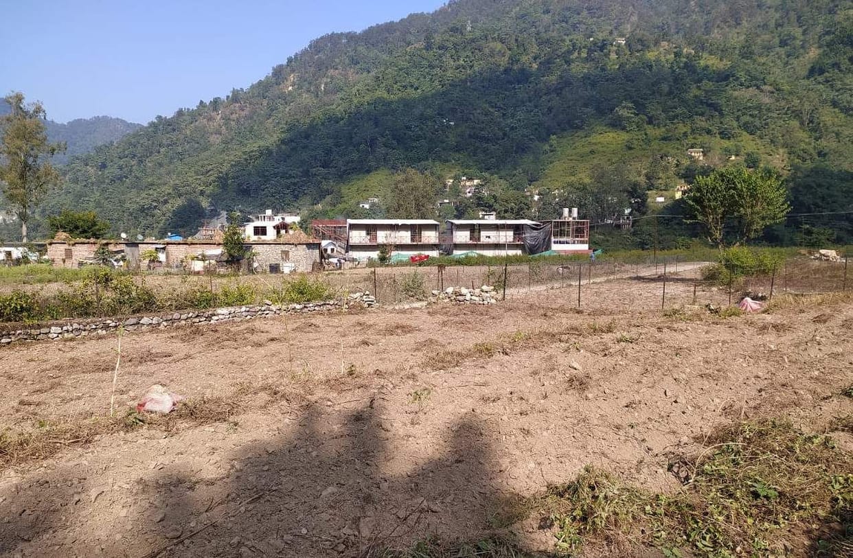 Camps being decorated in government land, administration oblivious