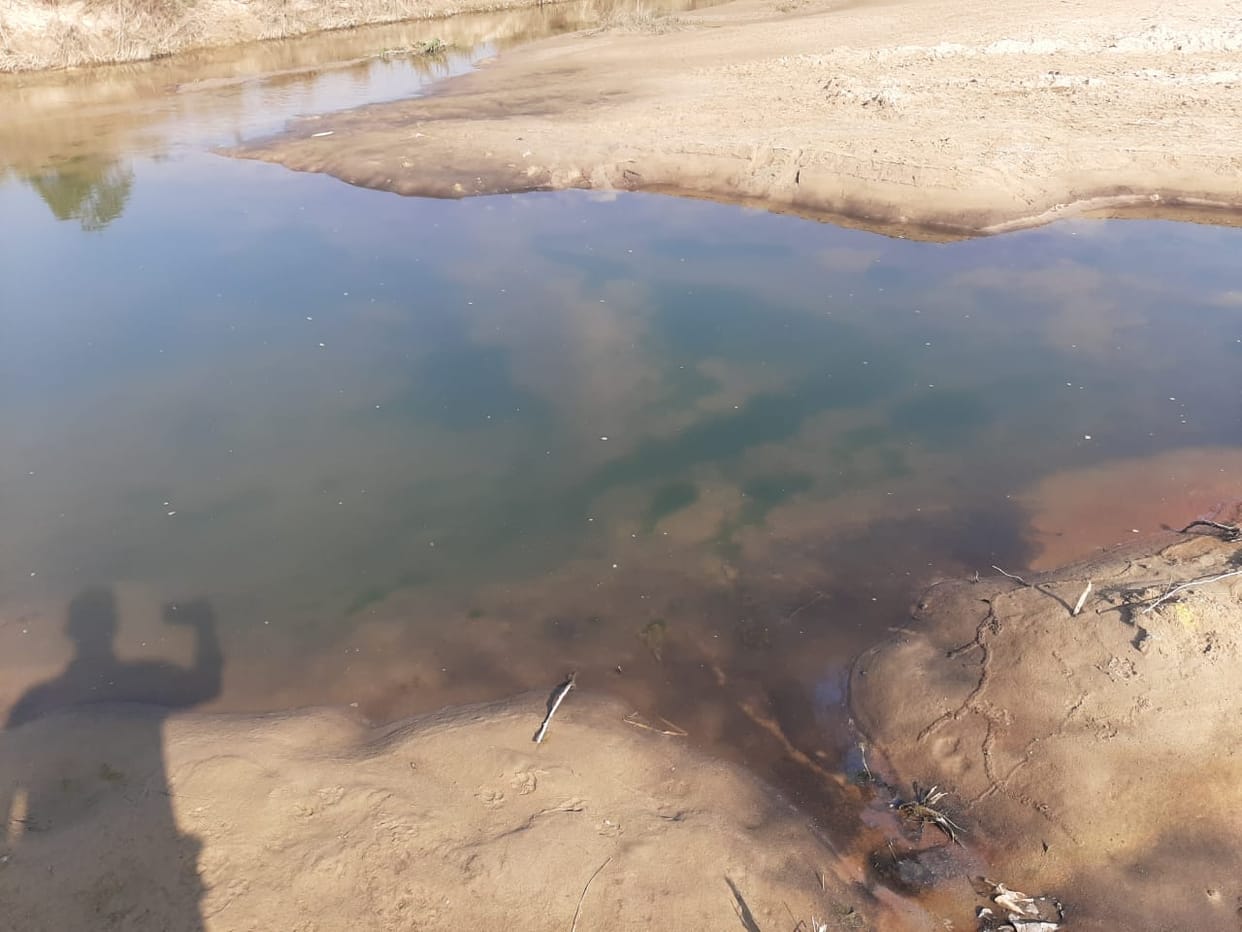 Banali river water turned black