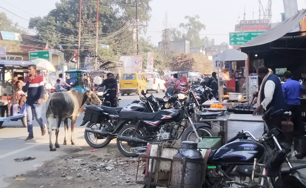 Seven lakh population entangled in the web of encroachment