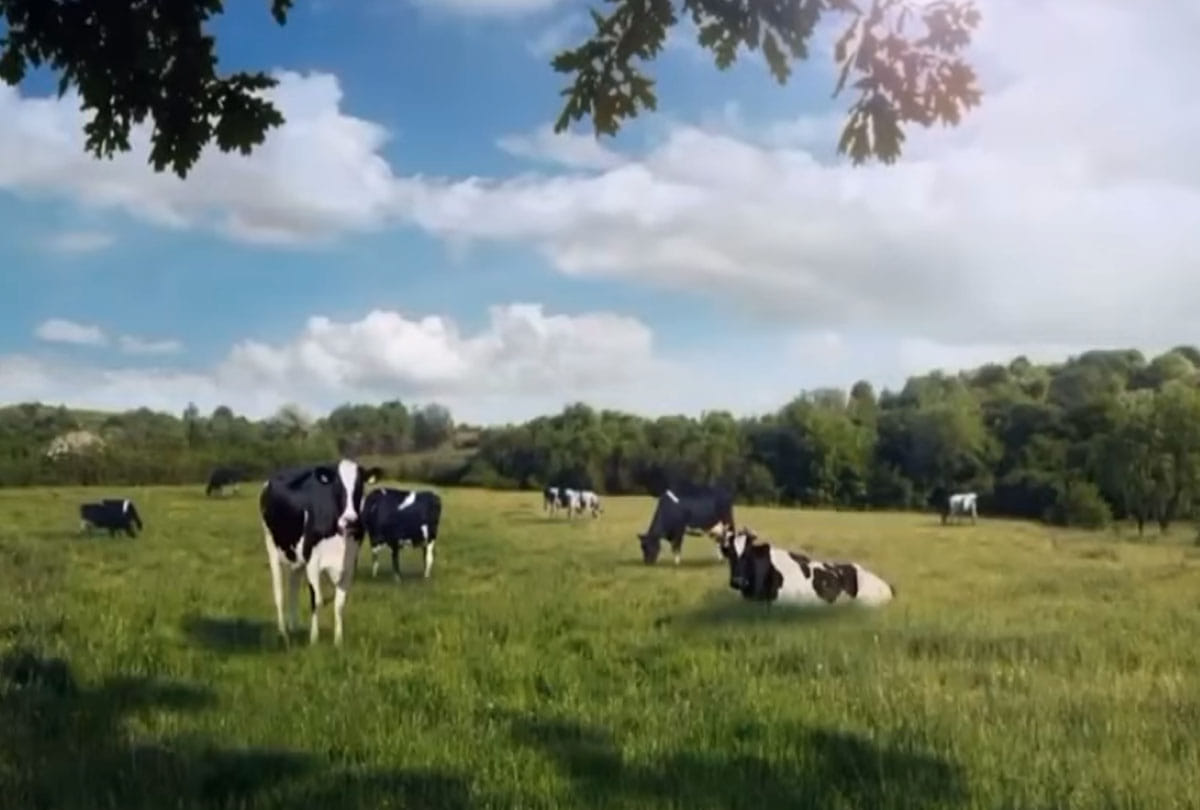 dairy firm seoul milk compare women to cows in advertisement ruckus on social media