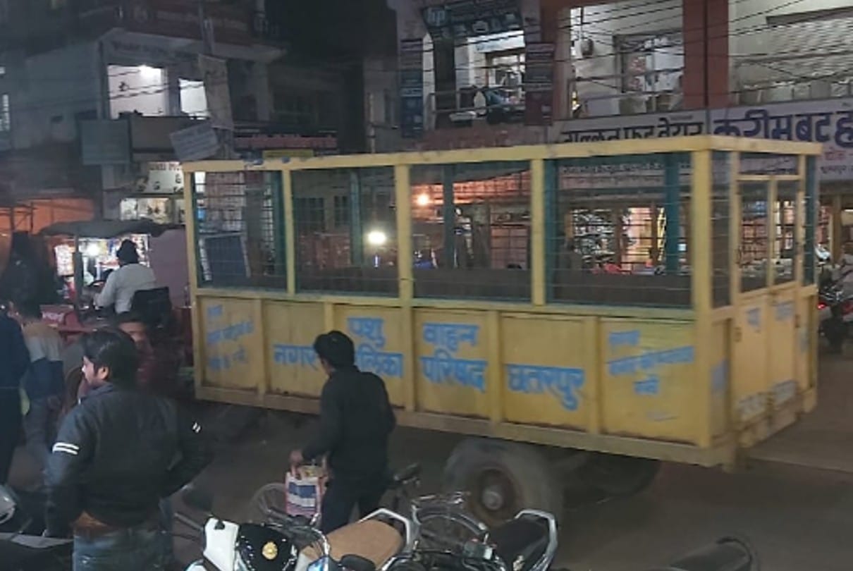 Chhatarpur: Action on vehicles parked randomly in the market, traffic police carrying them in animal vehicles