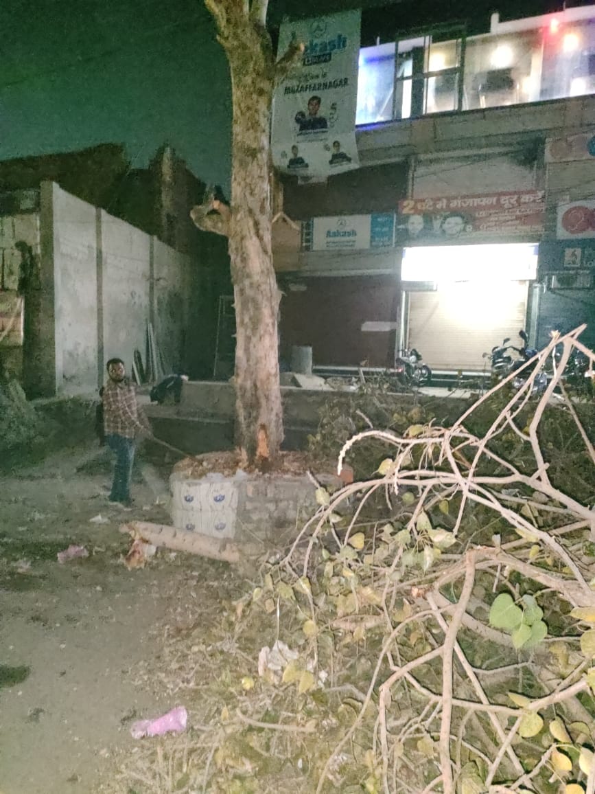 Peepal tree was being cut in the night, ran away after seeing the police