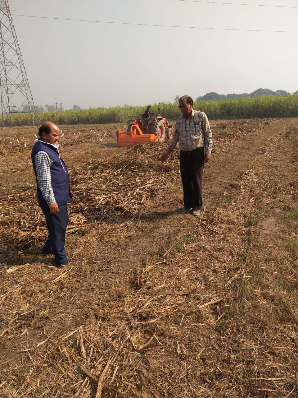 Use farmer mulcher to get good yield