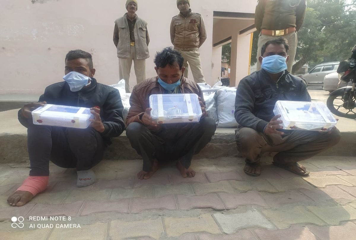 Agra Police Arrests Three Persons Who Stolen In Grocery Shops