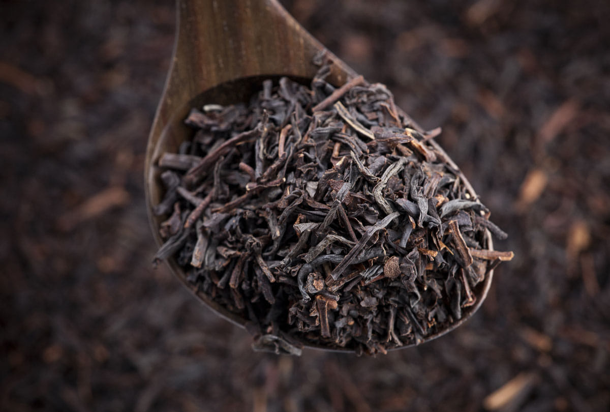 special quality of tea sold for 1 lakh rupees per kilogram in assam Know what is the special