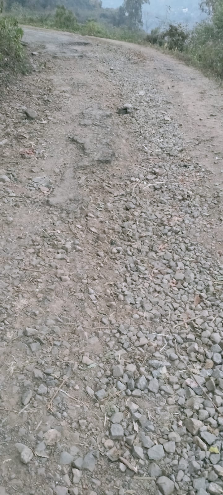 Raised demand for repair of road