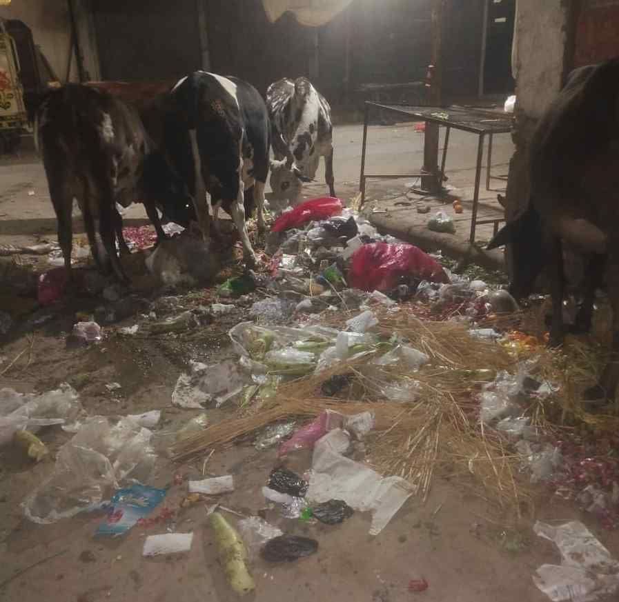 The corporation will keep the city clean with the help of people by forming a WhatsApp group in every ward