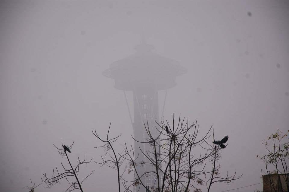 The night and day of December 16 was the coldest of this season
