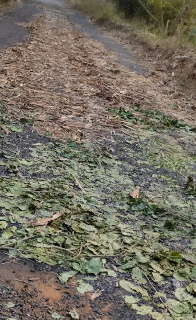 Chief Engineer arrived to know the condition of the roads