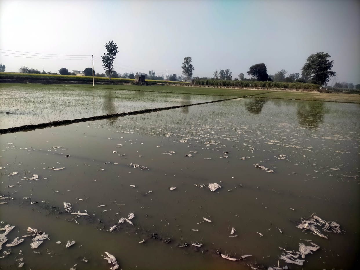 Mamaur lake again overflowed and broke